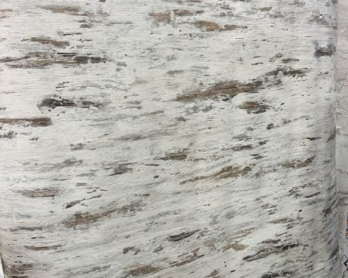 WhatsApp Image 2025-11-05 at 12.12.49